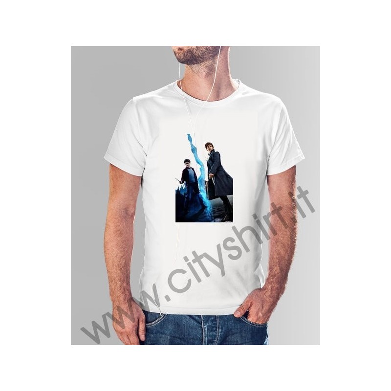 La T-shirt Harry e Newt Scamander