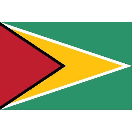 Bandiere Guyana 70x100 cm -