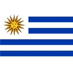 Bandiere Uruguay 70x100 cm -